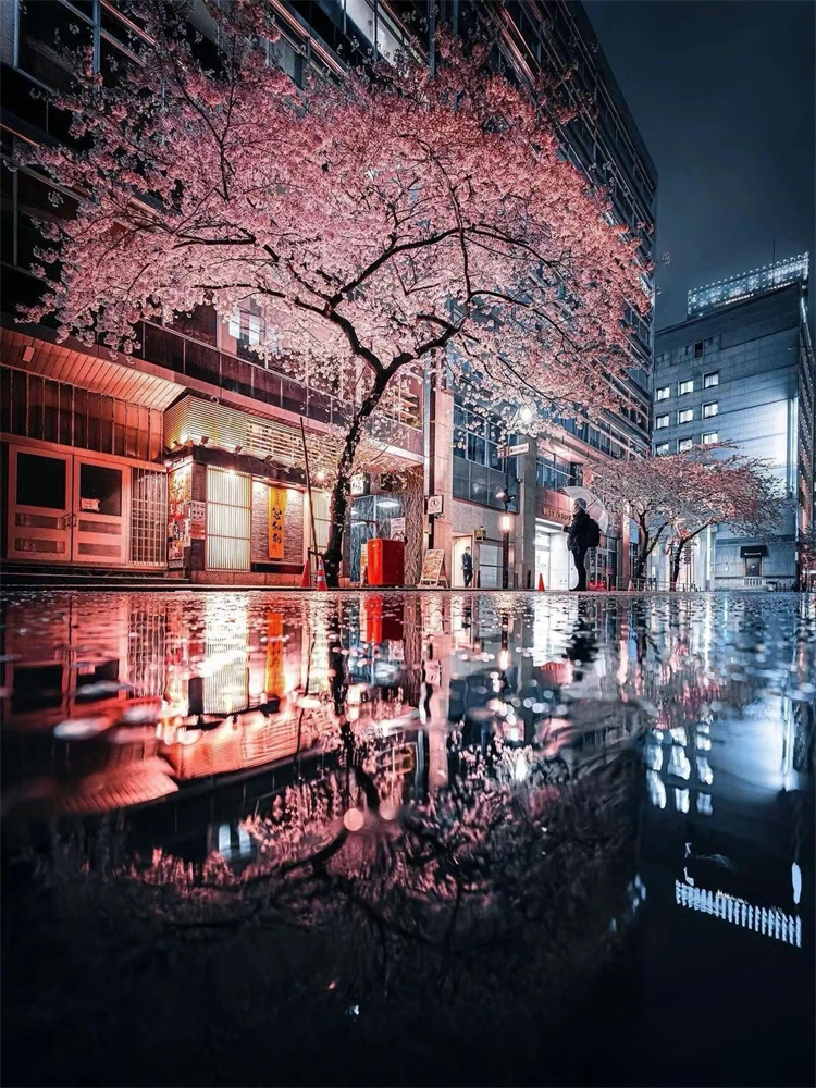 短视频拍摄剪辑全科班